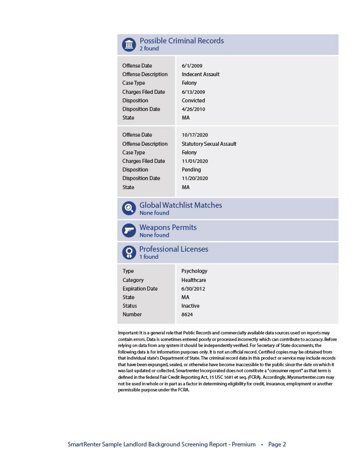 premium sample report p2